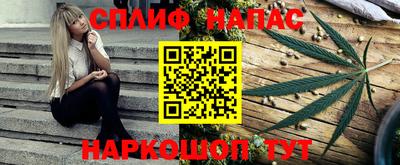 стафф Лесосибирск