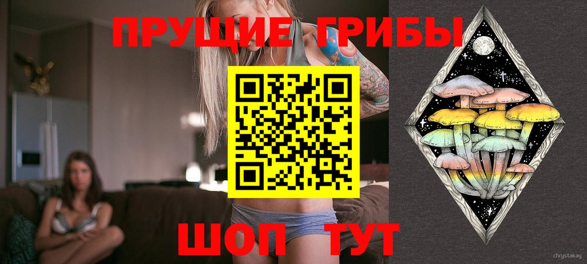Псилоцибиновые грибы Cubensis Димитровград